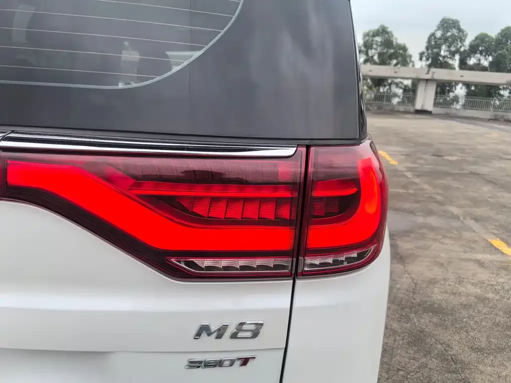 GAC Motor Trumpchi M8 2023 из CN, фото 7