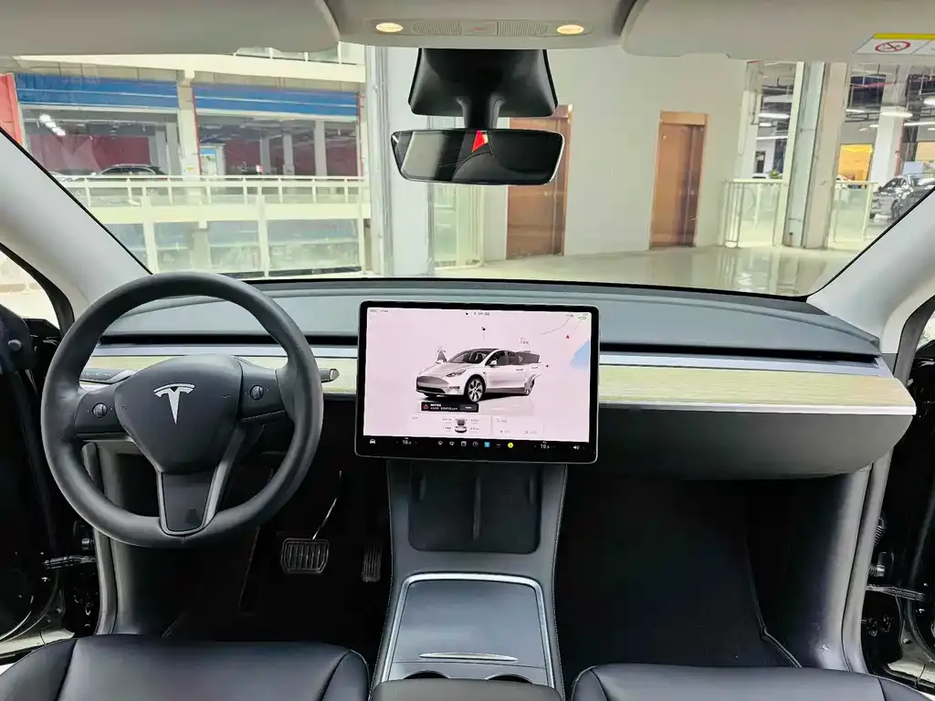 Tesla Model Y 2023 из CN, фото 3