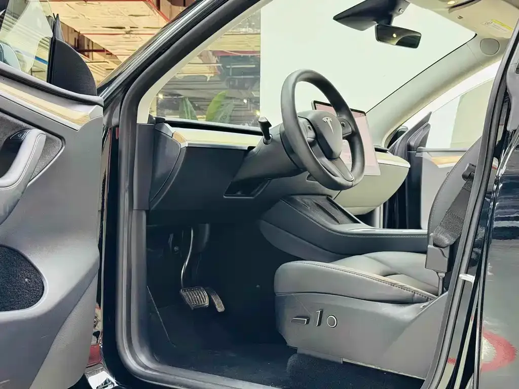 Tesla Model Y 2023 из CN, фото 2