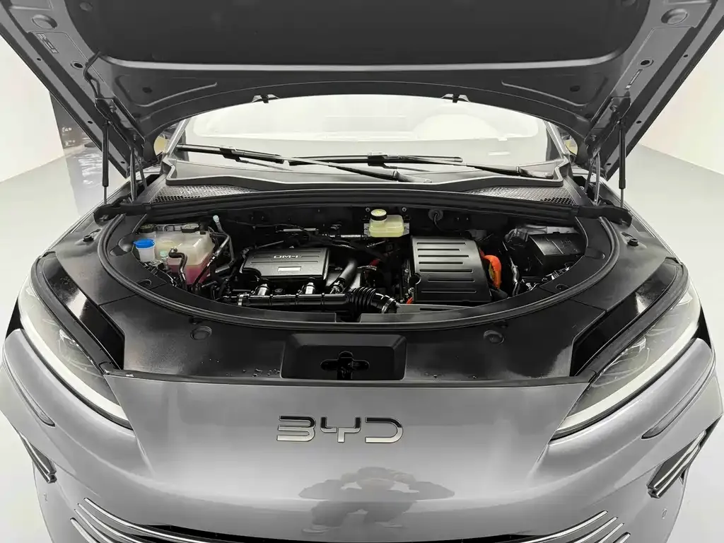 BYD PLUS New Energy — фото 10