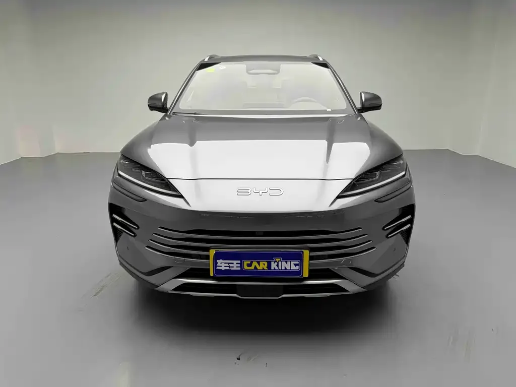 BYD PLUS New Energy — фото 4