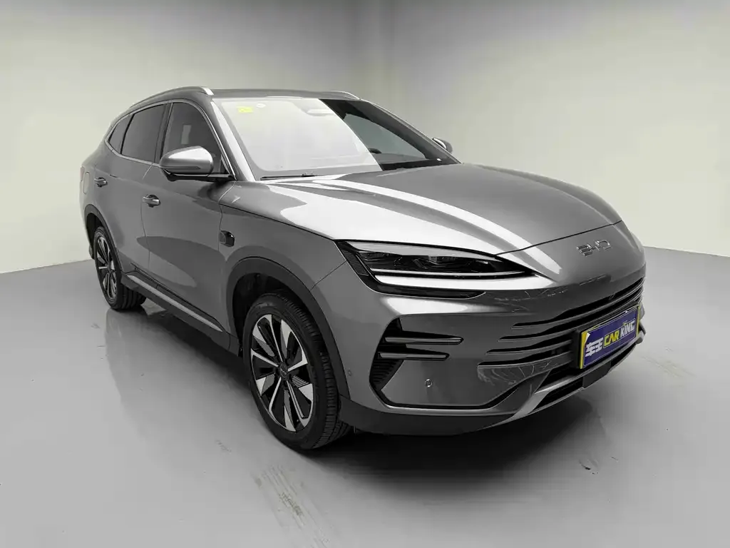 BYD PLUS New Energy — фото 7