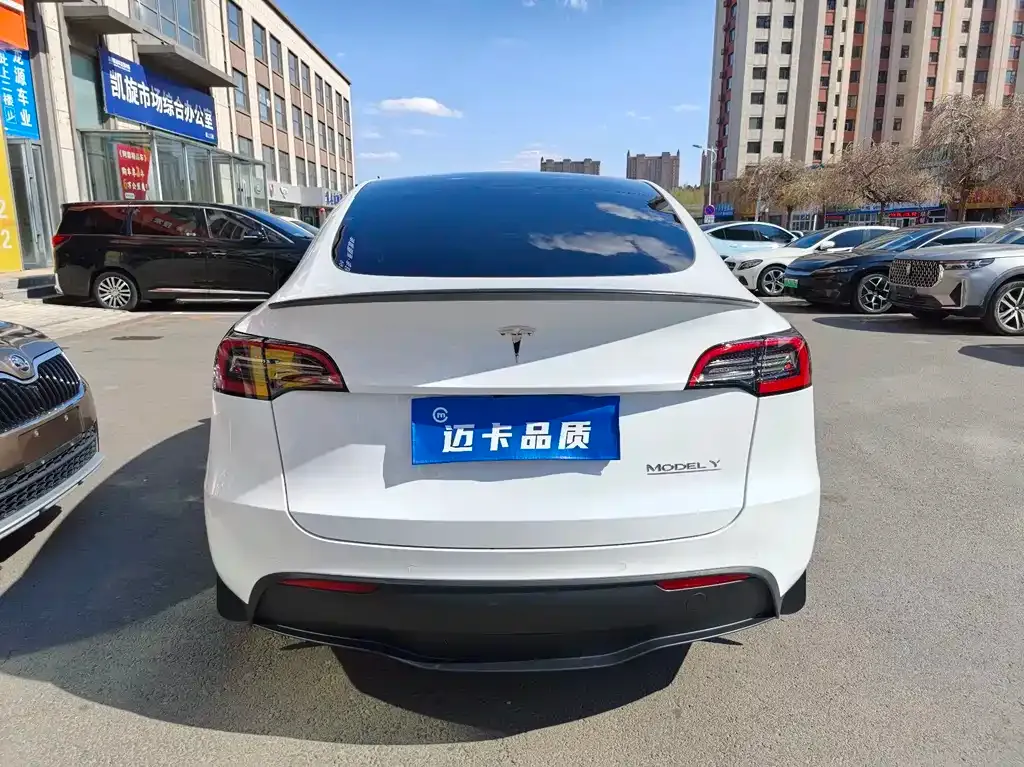 Tesla Model Y — фото 9