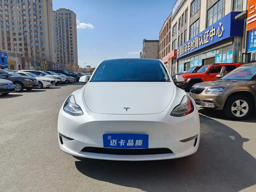 Tesla Model Y — фото 10