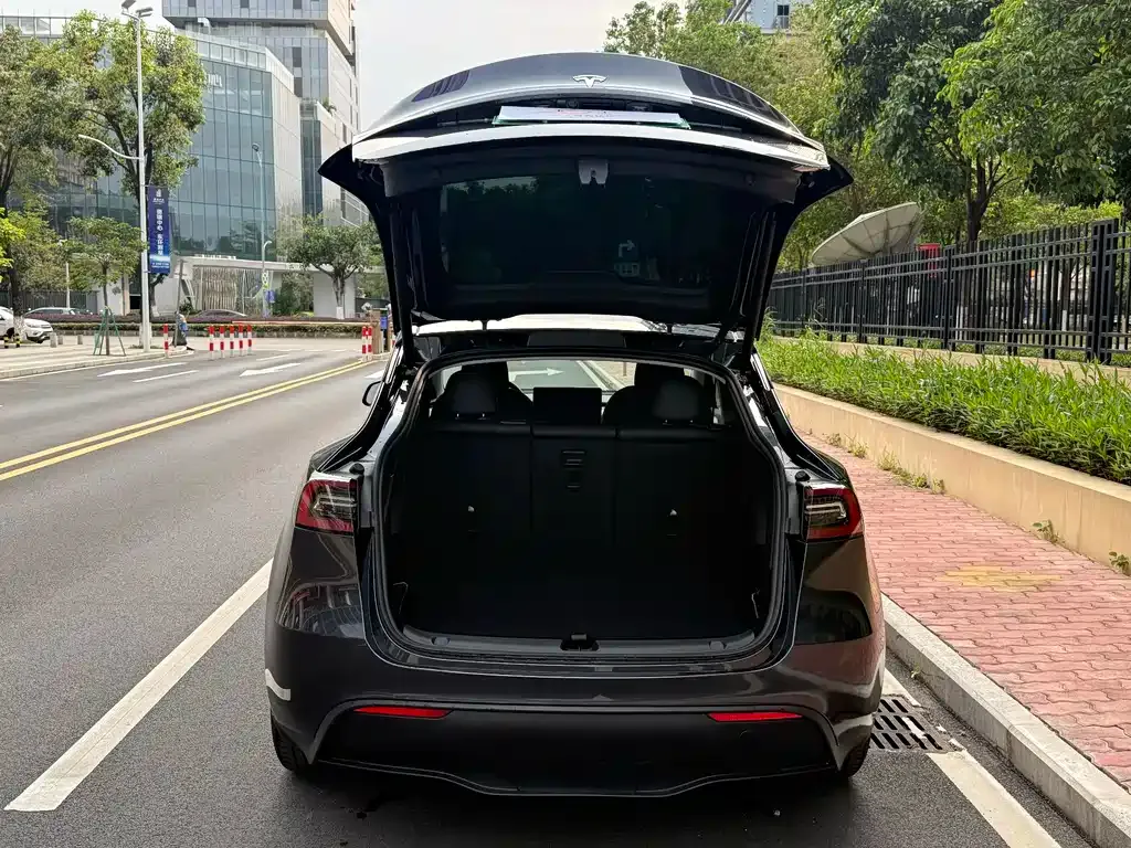 Tesla Model Y — фото 10