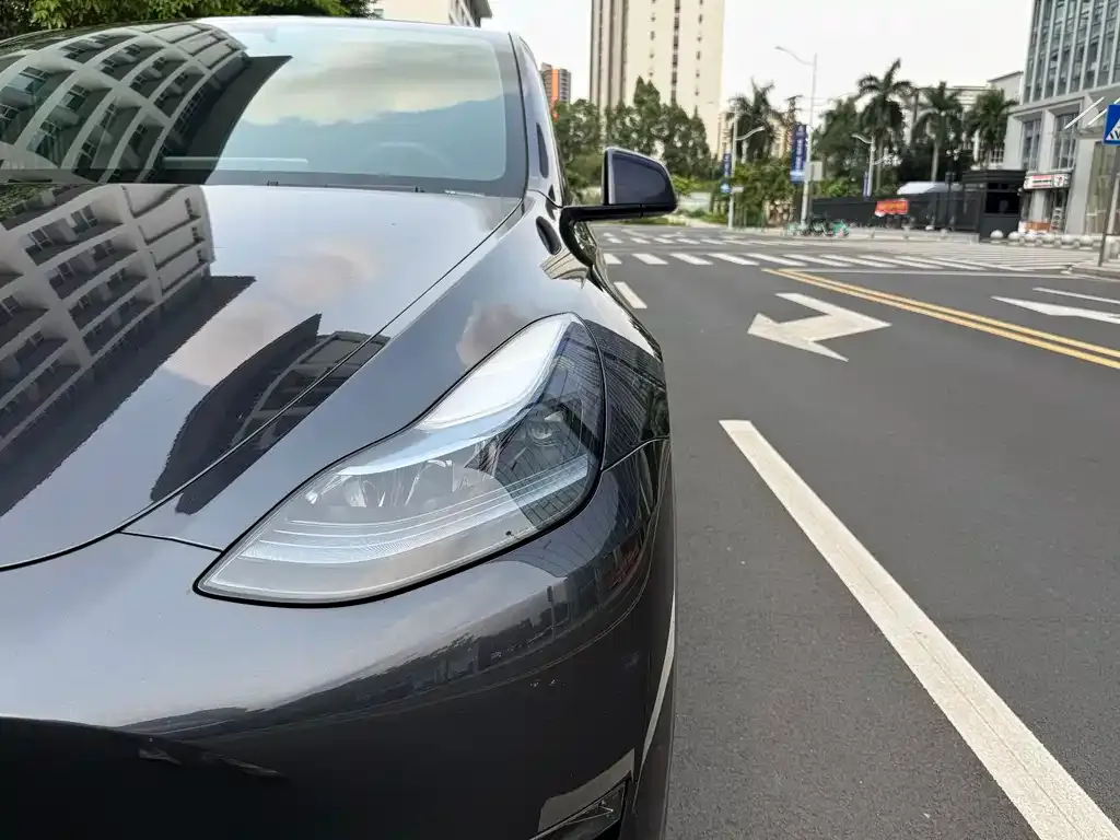 Tesla Model Y — фото 3