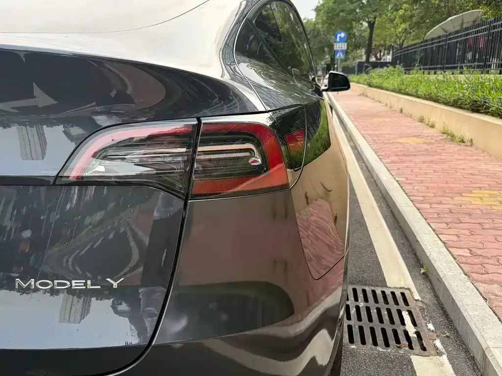 Tesla Model Y — фото 2