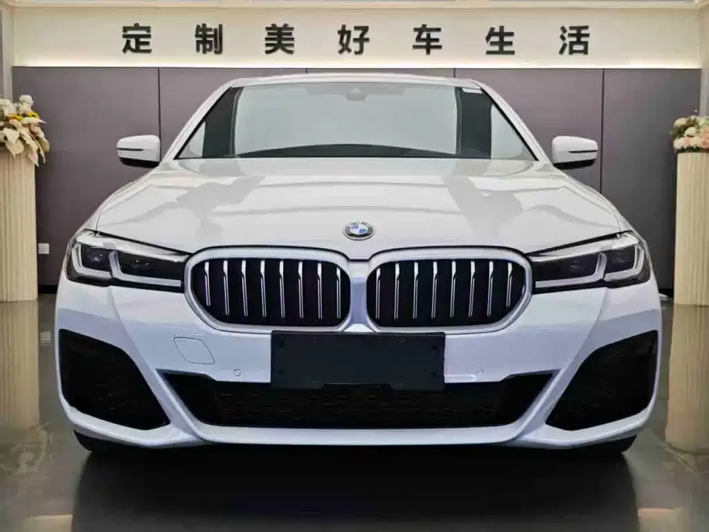 BMW 5 Series 2021 из CN, фото 2