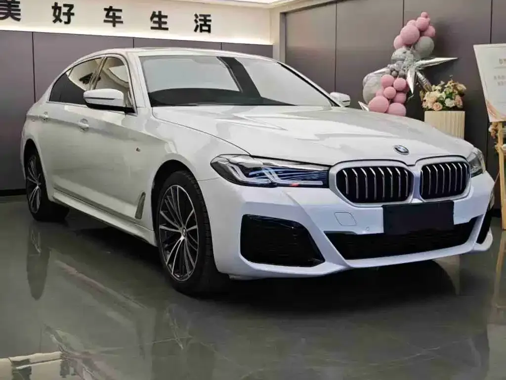 BMW 5 Series 2021 из CN, фото 3