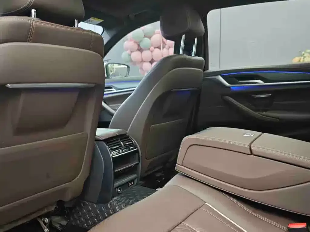 BMW 5 Series 2021 из CN, фото 7