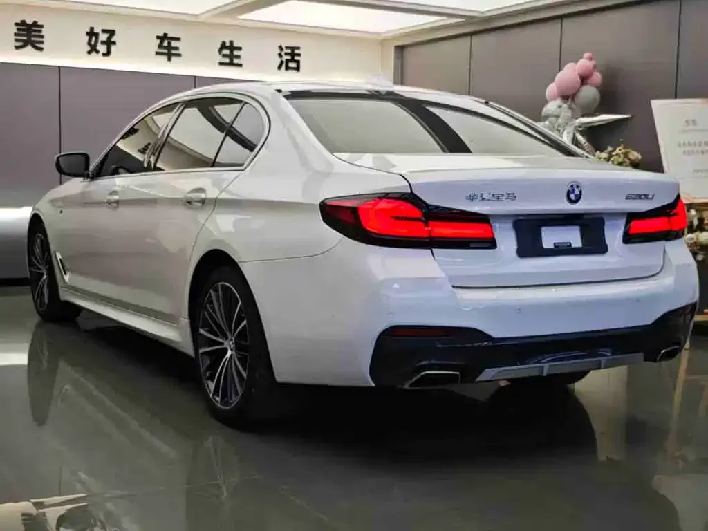 BMW 5 Series 2021 из CN, фото 4