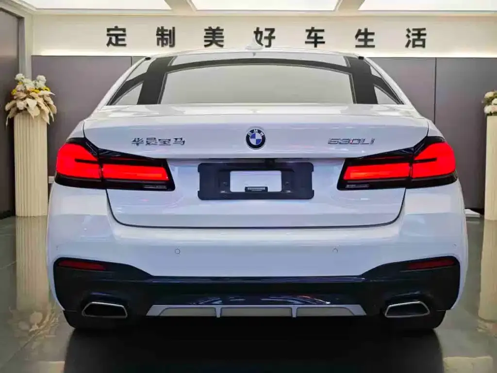 BMW 5 Series 2021 из CN, фото 8