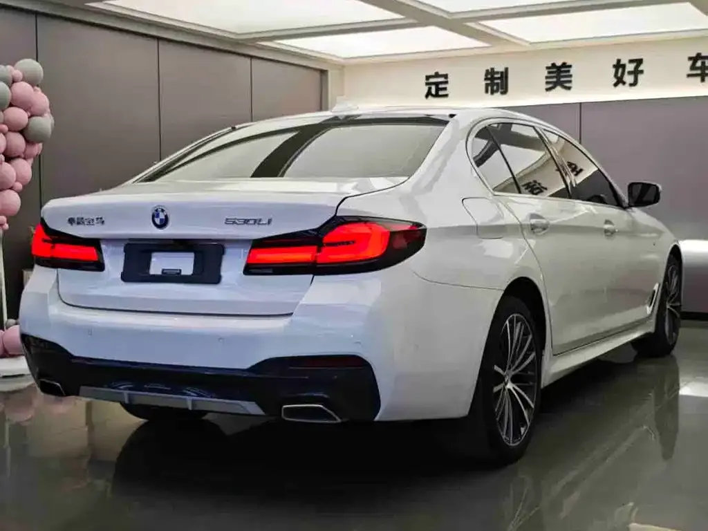 BMW 5 Series 2021 из CN, фото 6