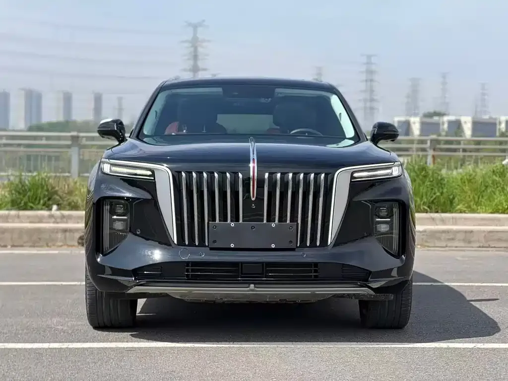 Hongqi E-HS9 2023 из CN, фото 7