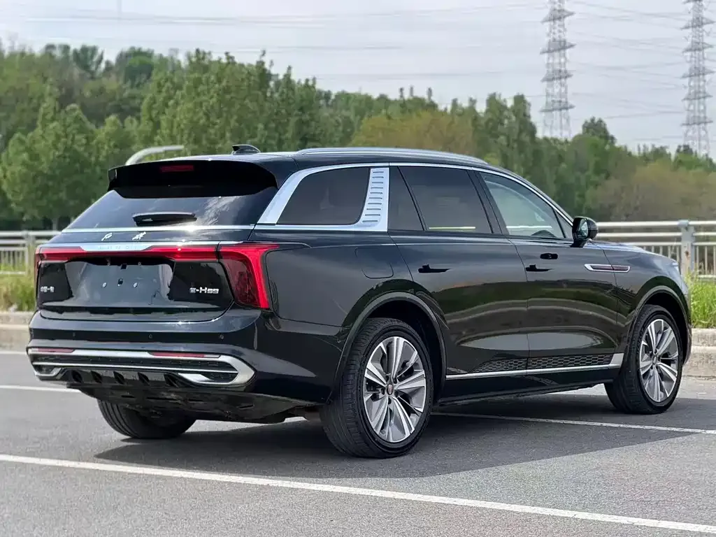 Hongqi E-HS9 2023 из CN, фото 6
