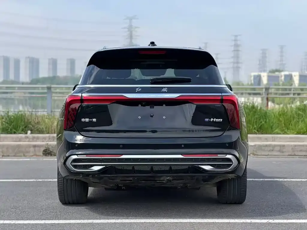 Hongqi E-HS9 2023 из CN, фото 8