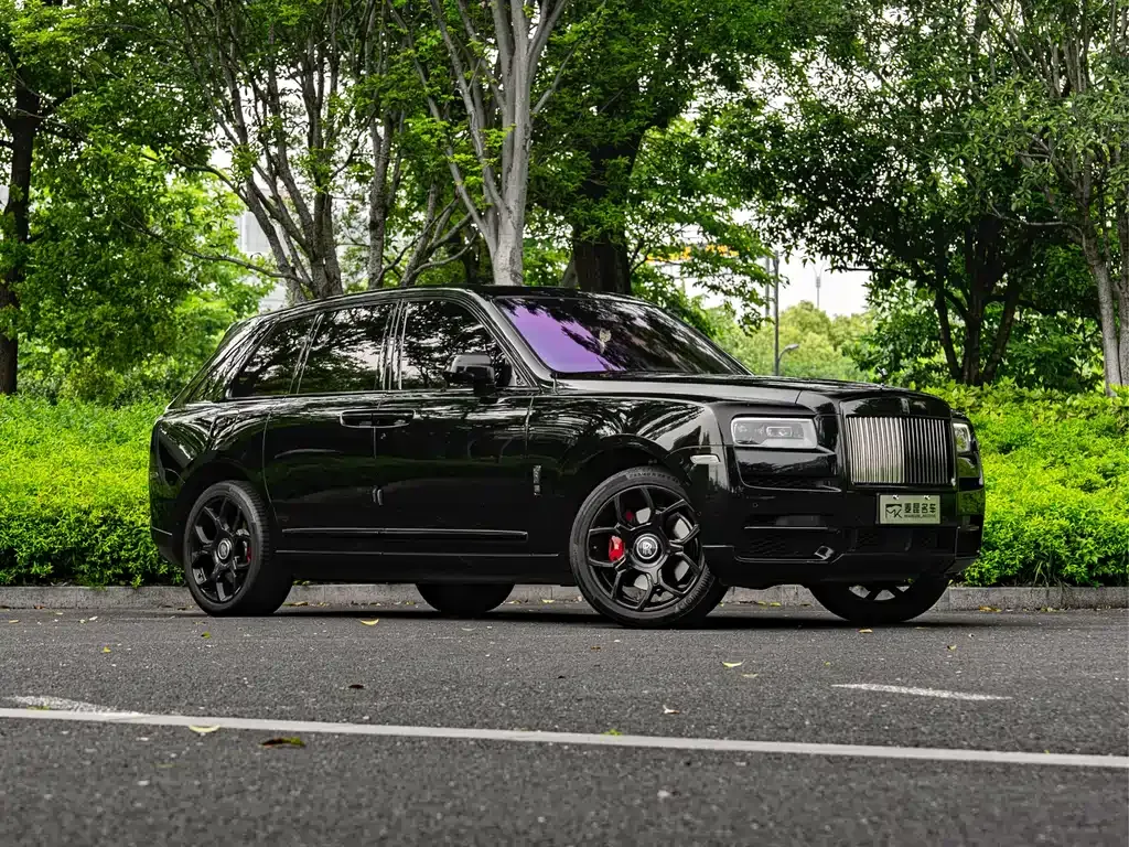 Rolls-Royce Cullinan 2021 из CN, фото 8