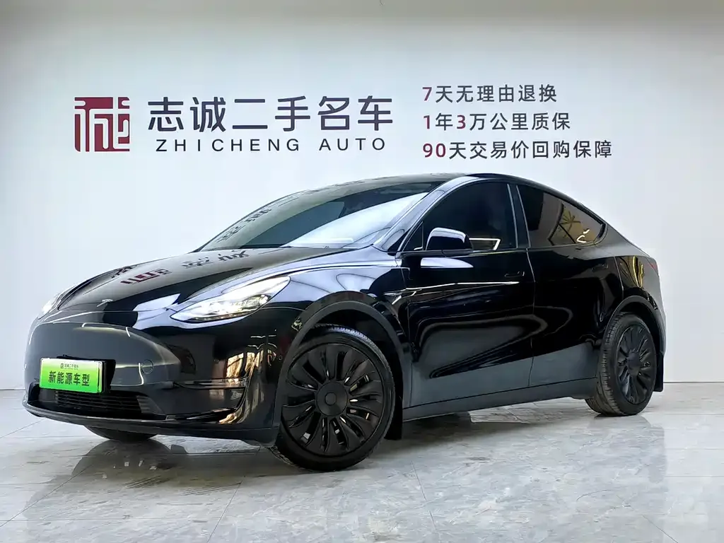 Tesla Model Y — фото 1