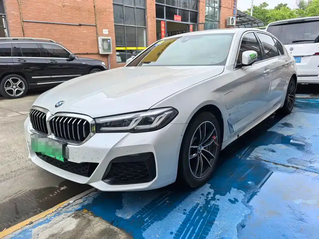 BMW 5 Series New Energy 2021 из CN, фото 1