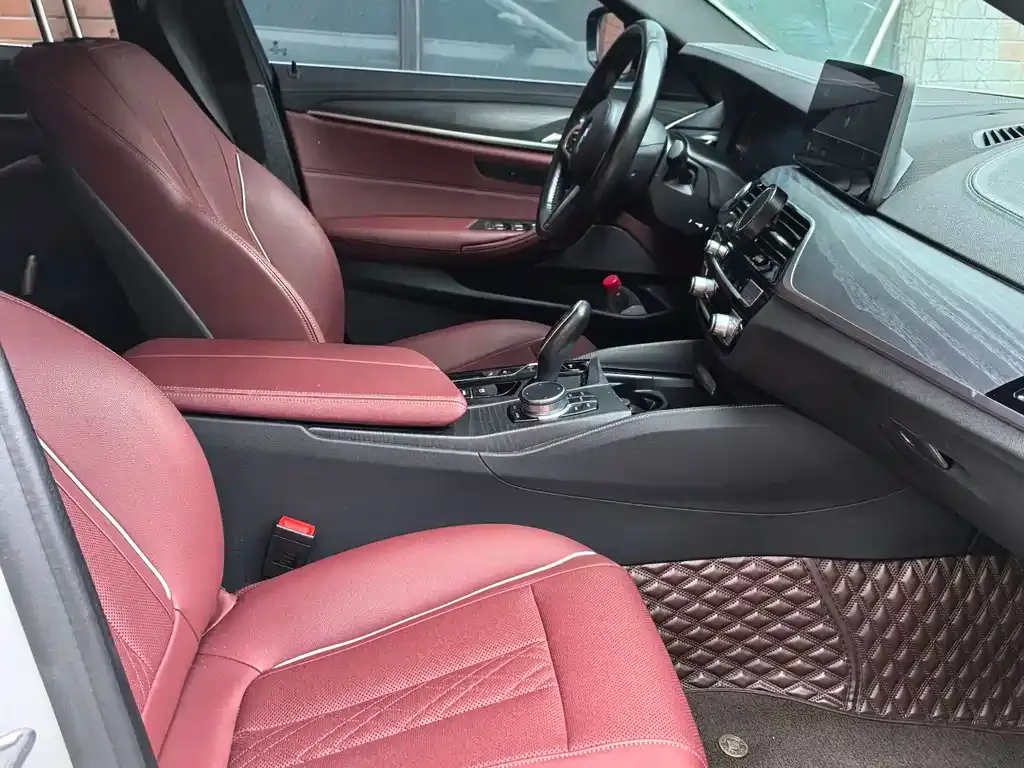 BMW 5 Series New Energy 2021 из CN, фото 4