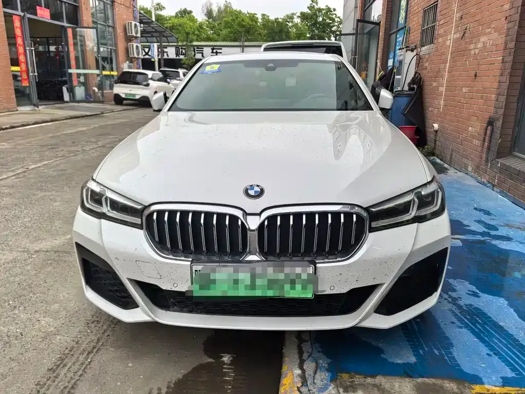 BMW 5 Series New Energy 2021 из CN, фото 10