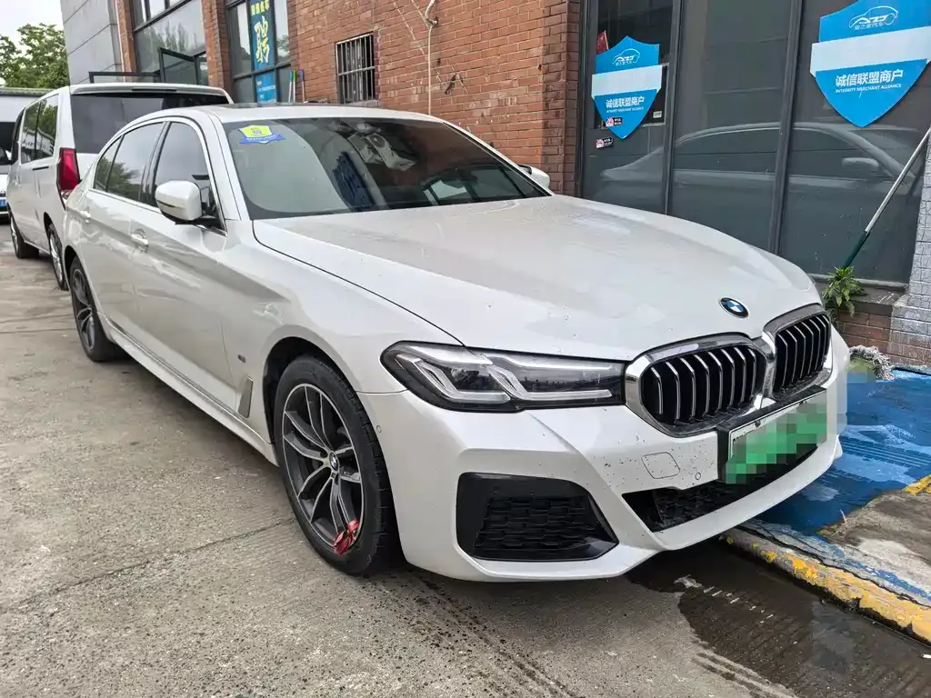 BMW 5 Series New Energy 2021 из CN, фото 7