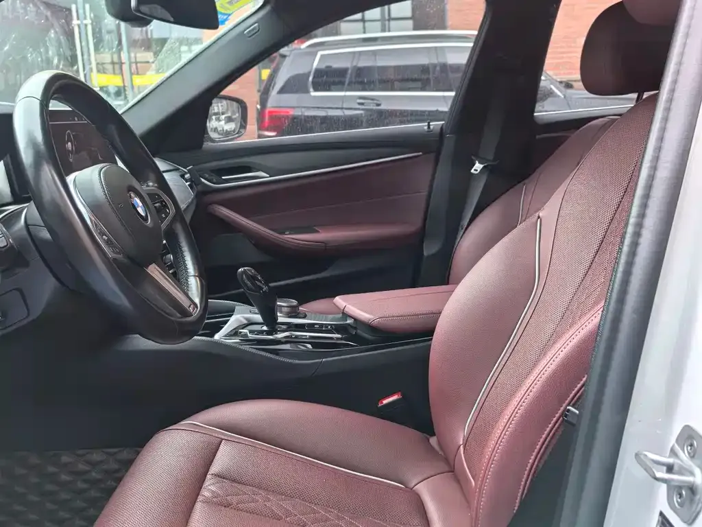 BMW 5 Series New Energy 2021 из CN, фото 6
