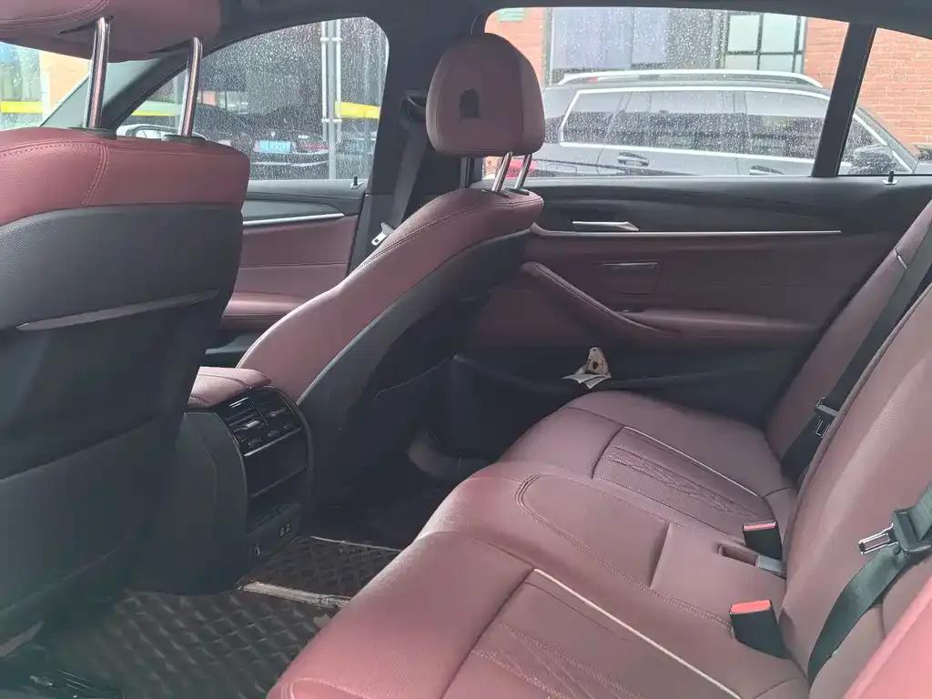 BMW 5 Series New Energy 2021 из CN, фото 8
