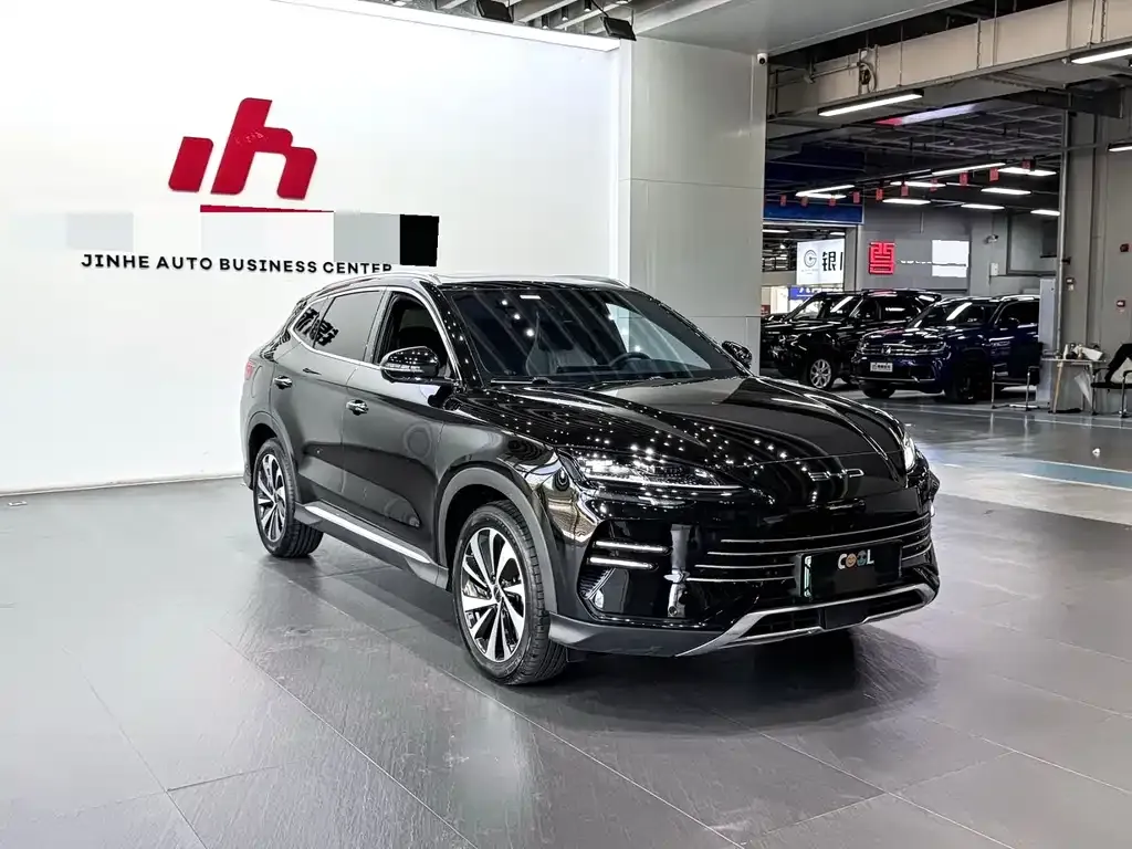 BYD PLUS New Energy — фото 9