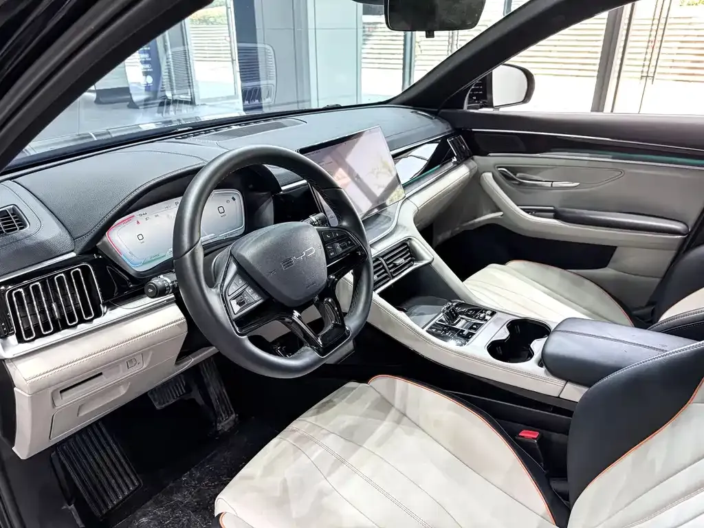 BYD PLUS New Energy — фото 4