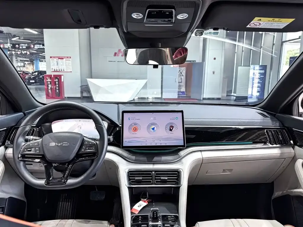 BYD PLUS New Energy — фото 3