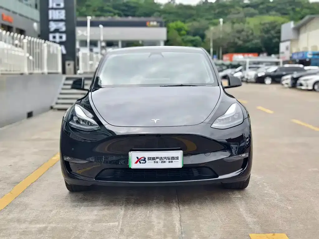 Tesla Model Y — фото 3