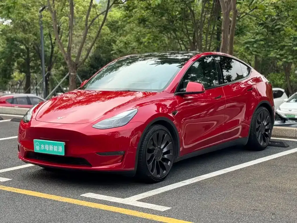 Tesla Model Y — фото 1
