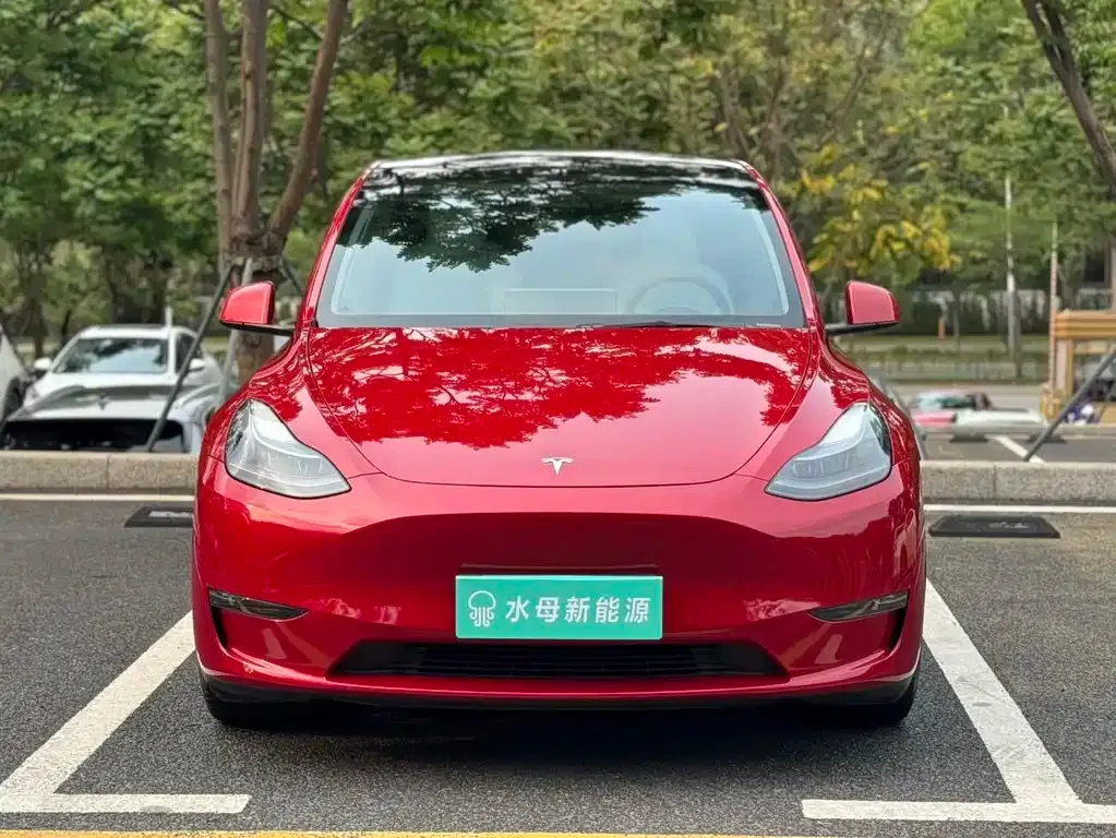 Tesla Model Y — фото 8
