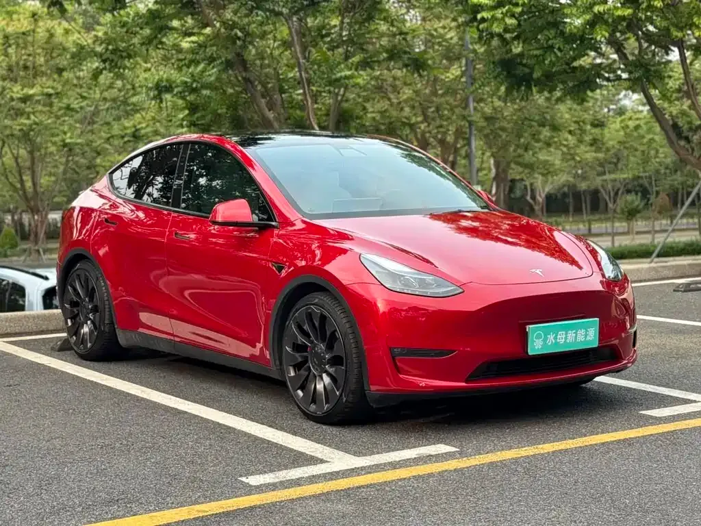 Tesla Model Y — фото 10