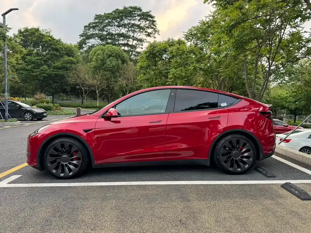 Tesla Model Y — фото 9