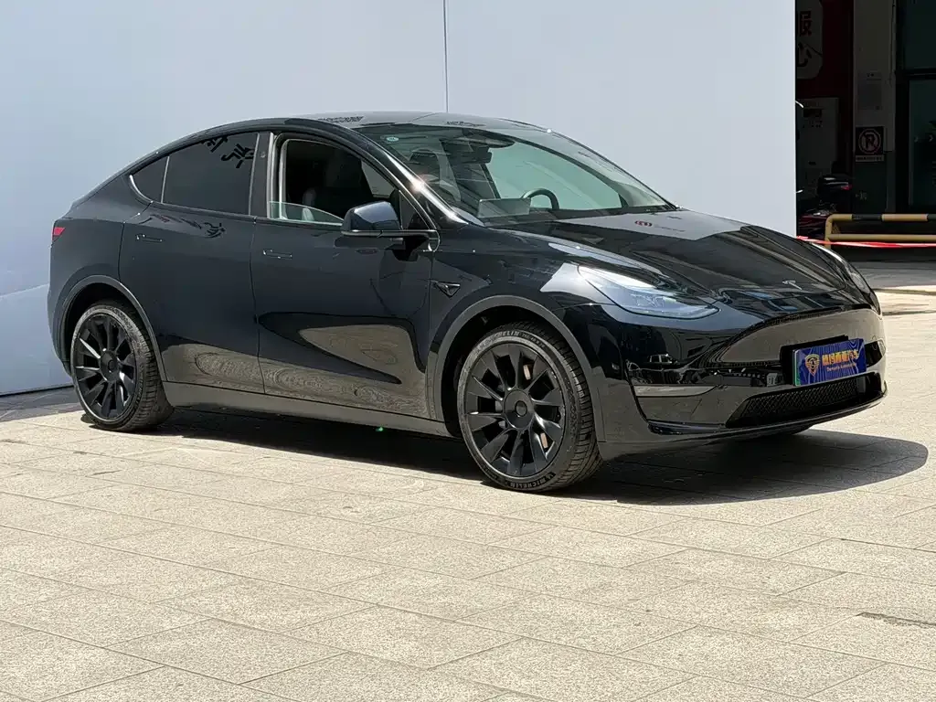 Tesla Model Y — фото 9