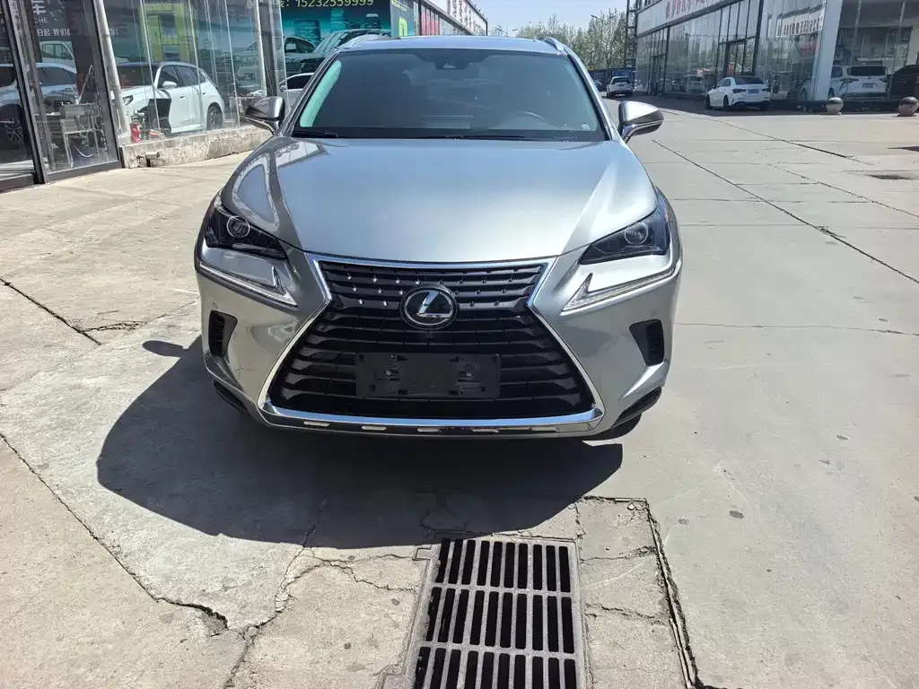 Lexus NX 2022 из CN, фото 4