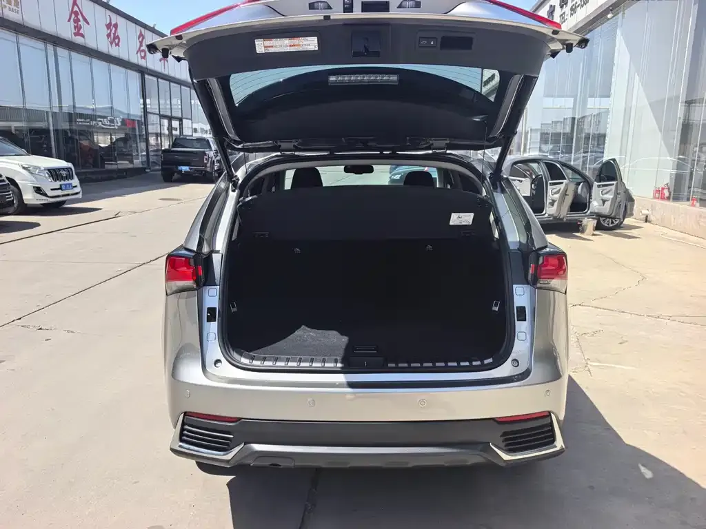 Lexus NX 2022 из CN, фото 6