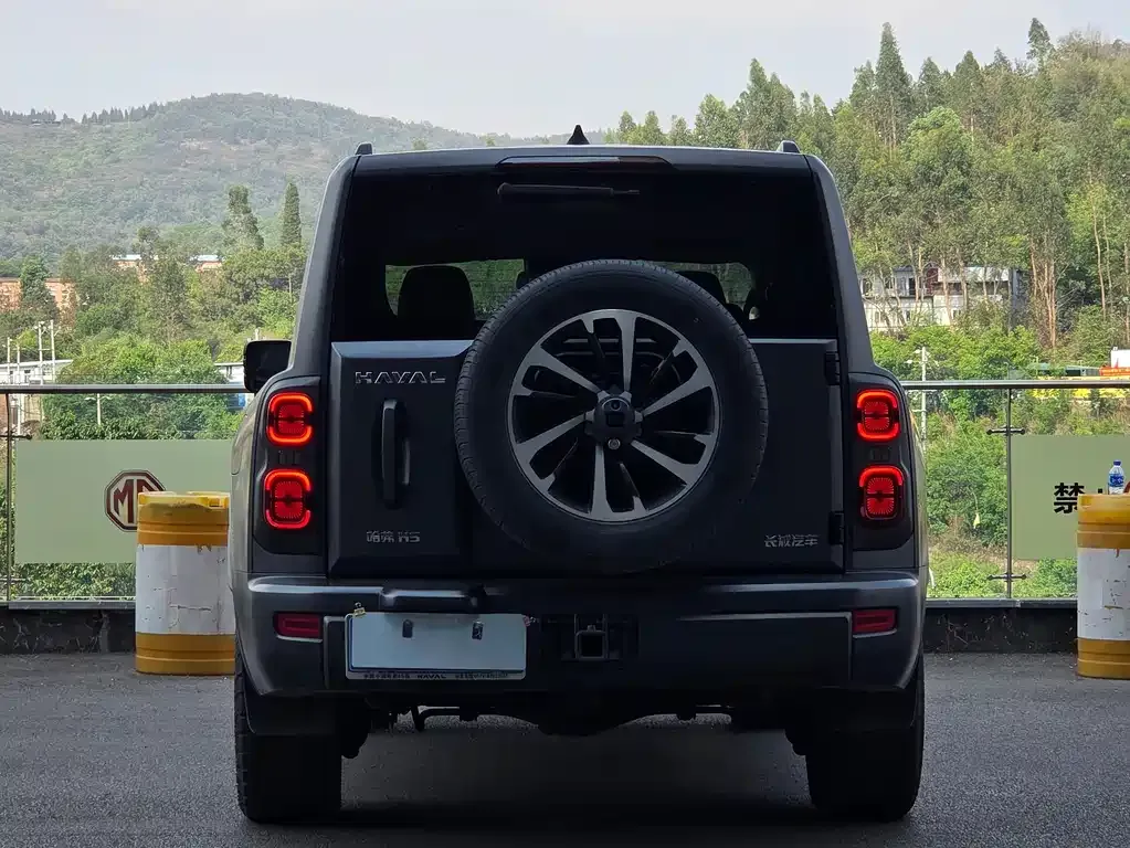 Haval H9 2024 из CN, фото 4