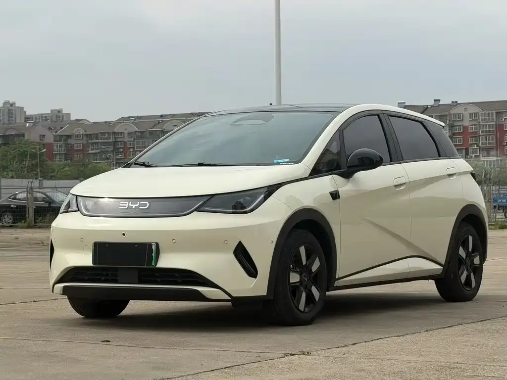 BYD Dolphin 2025 из CN, фото 1