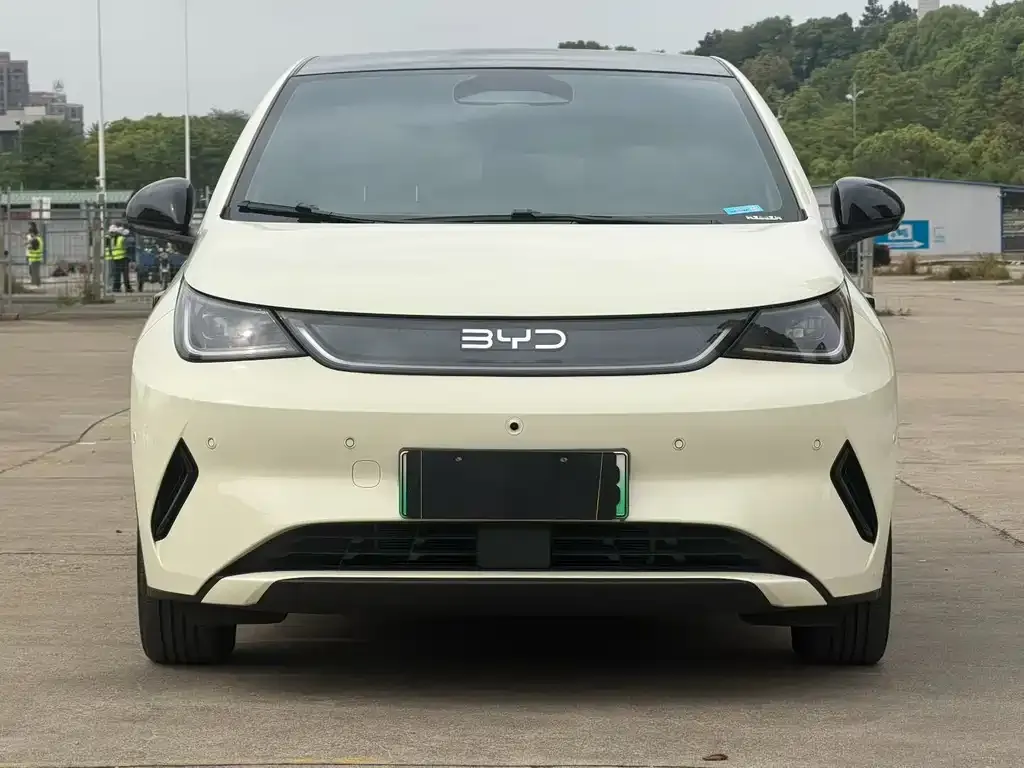 BYD Dolphin 2025 из CN, фото 2