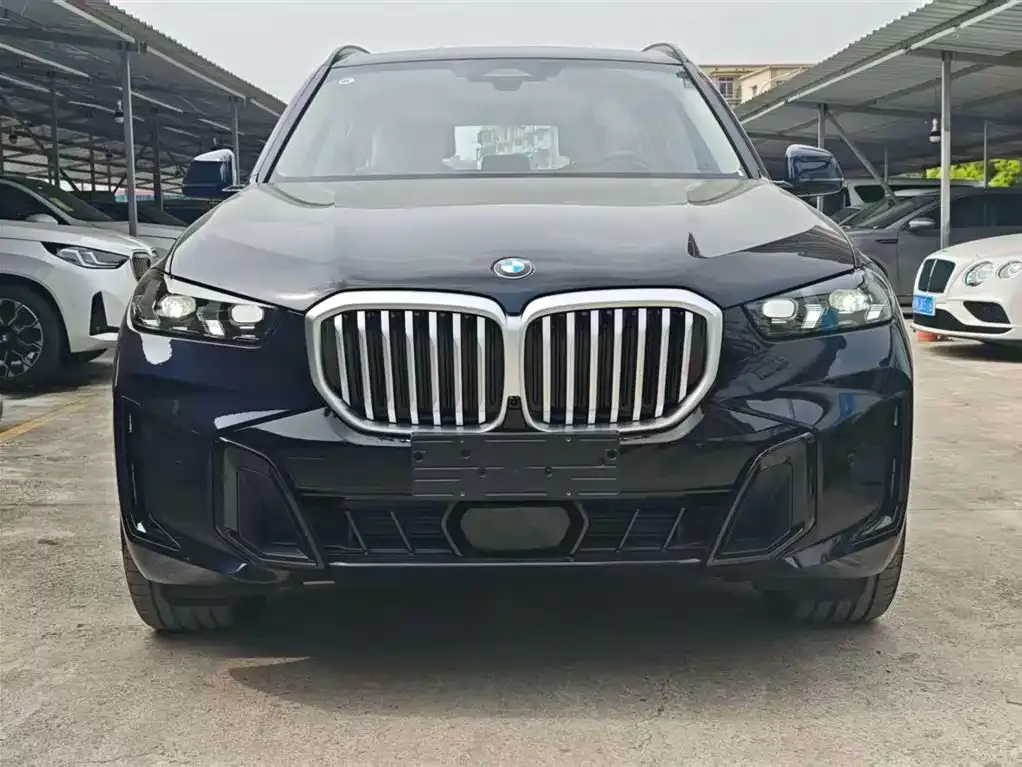 BMW X5 — фото 10