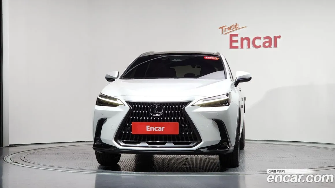 Lexus NX 2025 из KR, фото 3