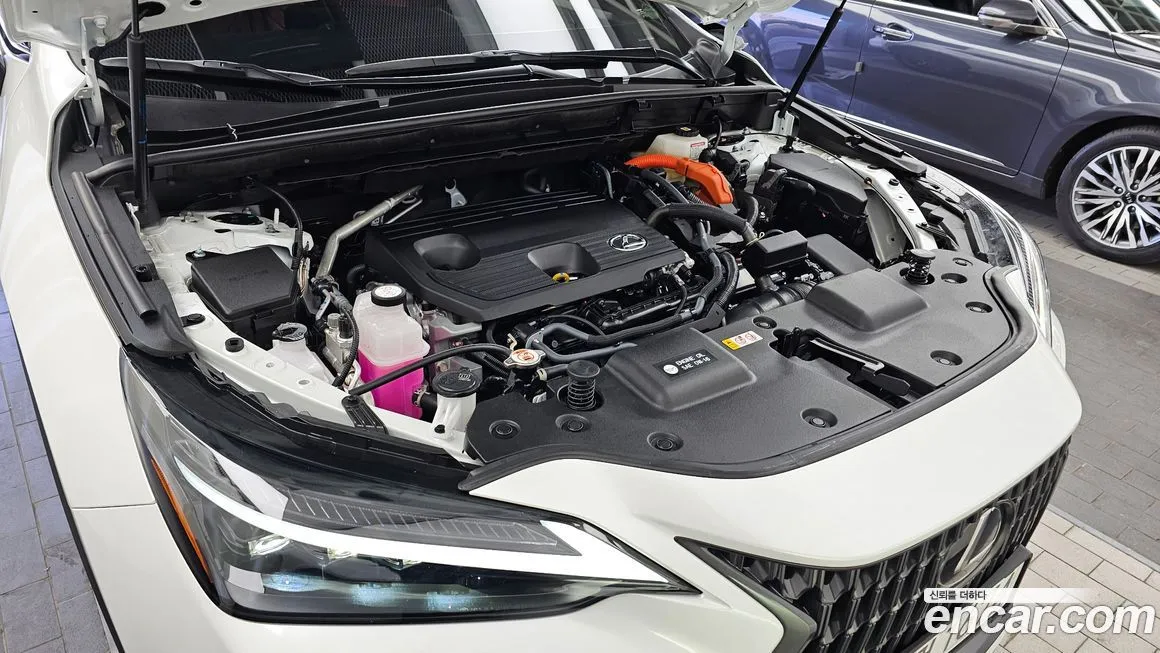 Lexus NX 2025 из KR, фото 9