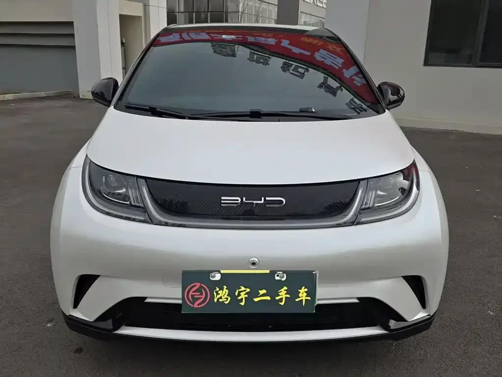 BYD Dolphin 2023 из CN, фото 3