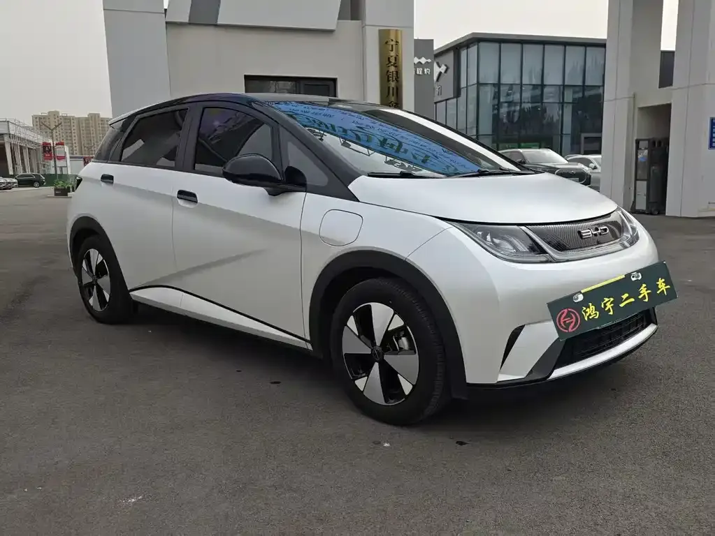 BYD Dolphin 2023 из CN, фото 6