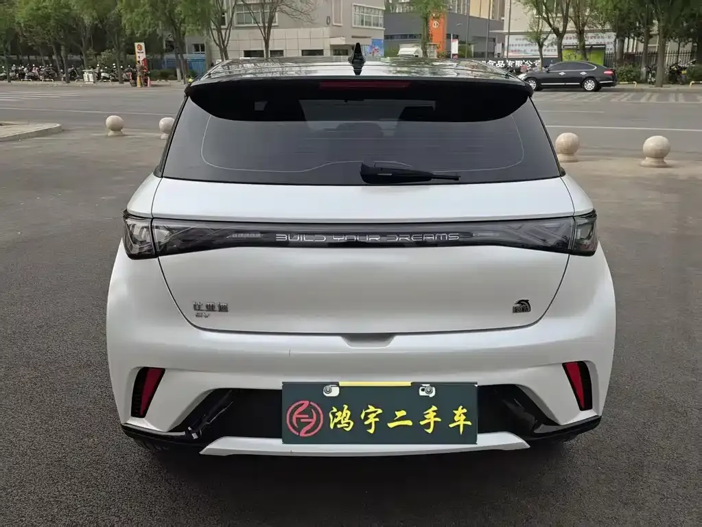 BYD Dolphin 2023 из CN, фото 8