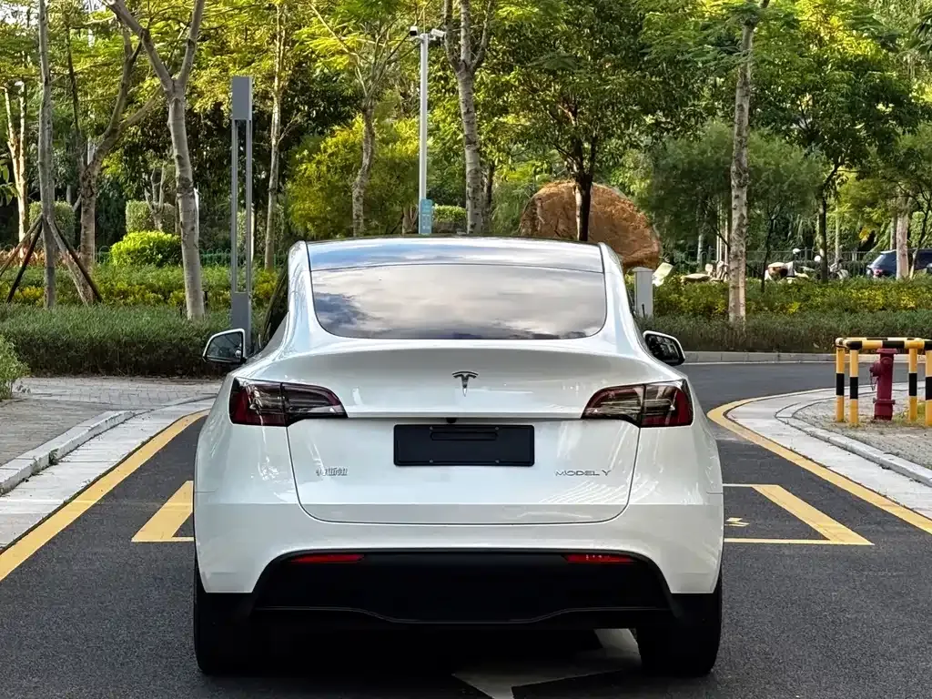 Tesla Model Y — фото 10