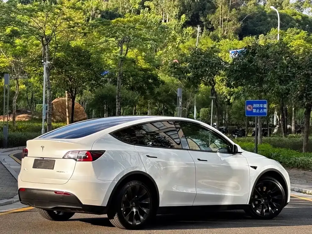 Tesla Model Y — фото 8